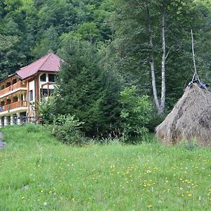 Pensiunea Tihna Rîu de Mori Exterior photo