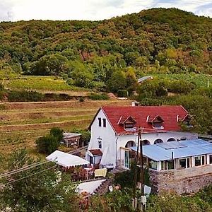 Inhauser Pinceszet&Guesthouse&Restaurant Somloszolos Exterior photo