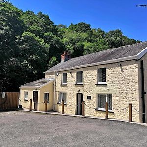 مبيت وإفطار Ystalyfera Old Tredegar Exterior photo