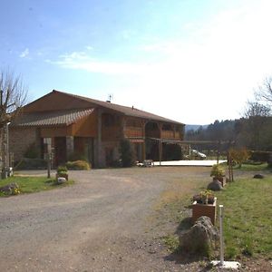 فيلا Gite Chaleureux Avec Terrasse, Peche, Randonnees Et Equipements Modernes Au Coeur Du Haut Forez - Fr-1-496-285 Les Salles Exterior photo