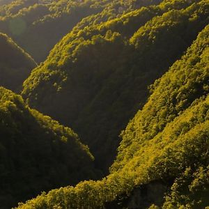 شقة Wild Valley Ticino Vista In Valle Onsernone Auressio Exterior photo