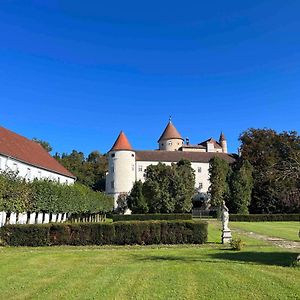 فيلا Charming Castle In Austria Schwertberg Exterior photo