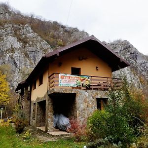 فندق Casa Artemi Remeţi Exterior photo