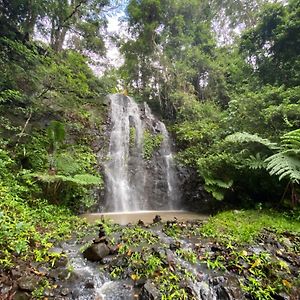 فندق Nimbin Waterfall Retreat Exterior photo