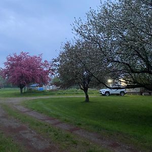 فيلا Farm House Coldwater Exterior photo