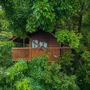 Puthuppādi Ama Stays & Trails Hibiscus Villa , Wayanad Exterior photo