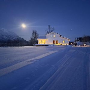 ترومسو Mountainside Lodge - Breivikeidet Exterior photo