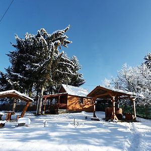 فيلا Galagonya Vendeghaz-Hegyvideki Szallashely Salgótarján Exterior photo