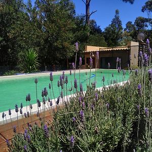 فيلا Con Piscina A 3 Cuadras De La Playa Balneario Argentino Exterior photo