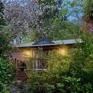 Mountain Cottage In Dandenong Ranges ماونت داندينونج Exterior photo