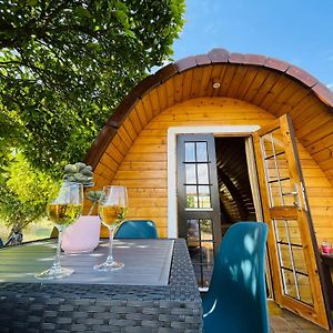 منزل الضيف Corredoura  في The Gold Pod, Relax And Enjoy On A Glamping House Exterior photo