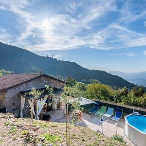 فيلا Agriturismo La Vecchia Scuola Villa Collemandina Exterior photo