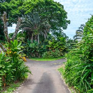 شقة Gingerhill Farm Retreat Kealakekua Exterior photo