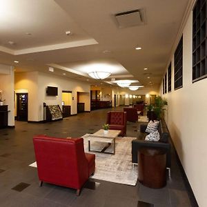 Clarion Hotel New Orleans - Airport & Conference Center كينير Exterior photo