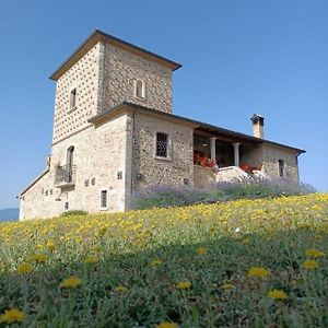 فيلا Agriturismo Torre Gialluise Gesualdo Exterior photo