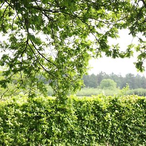 فيلا Peaceful Farmhouse In Doorn Near Forest Exterior photo