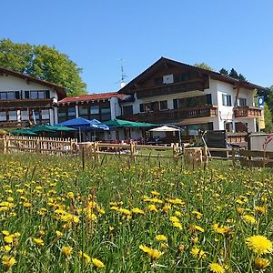 Landhotel Alphorn أوفتيرشفانغ Exterior photo