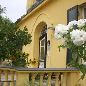 شقة Gutshaus Mit Seeblick - Oekologisch & Nachhaltig Lubow Exterior photo