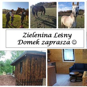 فيلا Mierzeszynفي Zielenina Lesny Domek Exterior photo