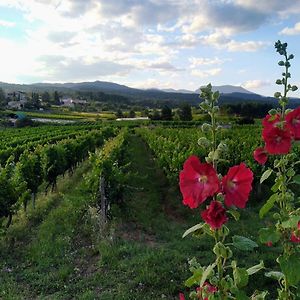 شقة Douceur Di'Vignes - Appt Avec Piscine Rosières Exterior photo