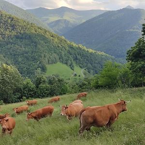 فيلا La Grange De L'Ours سان-لاري Exterior photo