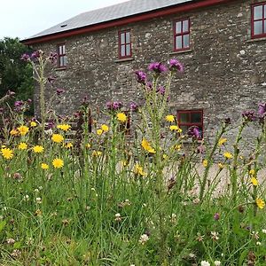 فيلا The Old Mill, Kilcorkey, Bellanagare, Castlerea, County Roscommon - West Of Ireland -House 1 Exterior photo