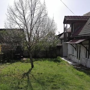 فيلا Hameau Entier: Piscine Et Discotheque Privatives ! Lys-Saint-Georges Exterior photo