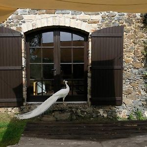Troche Authentic French House With Great View 4 Bedrooms And A Lot Of Land Exterior photo
