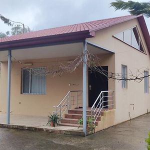 فيلا Pink House لنكران Exterior photo