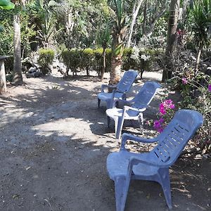 شقة Playa Casa Nohelia Santo Domingo Exterior photo