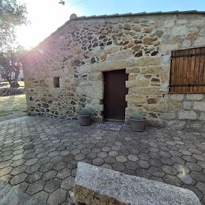 فيلا Casa Vignola Fozzano Exterior photo