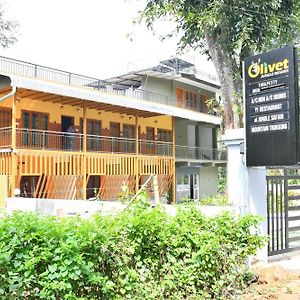 Kutta Olivet Resort Exterior photo