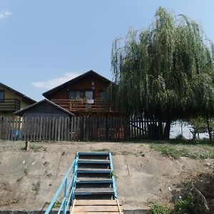 فيلا Vila Green Frog Mila Douăzeci şi Trei Exterior photo