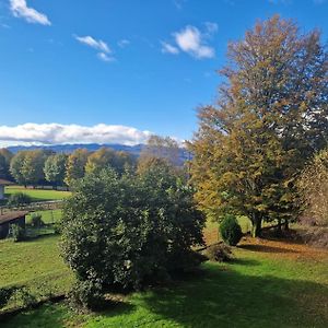 فندق L'Oasi Amena - Camera Salvia أمينو Exterior photo