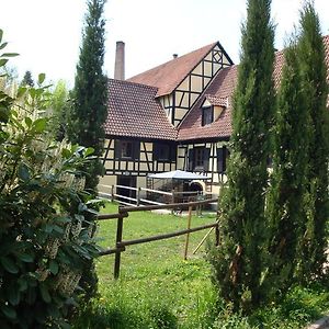 فندق Domaine Du Moulin Im Elsass Bischwiller Room photo