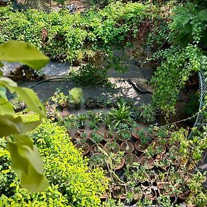 Gloria Homestay ,Thrissur Exterior photo