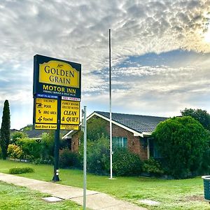 تامفورث Golden Grain Motor Inn Exterior photo