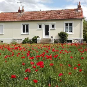 Muides-sur-Loire Gite Des Sablons Exterior photo