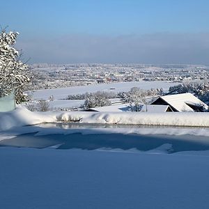 شقة Deluxe Doppelzimmer Mit Terrasse Und Aussicht Dänikon Exterior photo