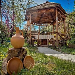 Guest House "Svaneti" Lentekhi Exterior photo