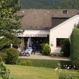 Hotel Haus Salzberg Garni شليدن Exterior photo