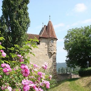 فندق Weingut Gaestehaus Weigand إبهوفين Exterior photo