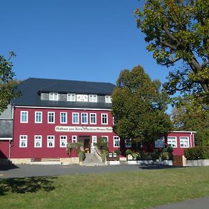 فندق Zum Roten Hirsch Im Gruenen Wald Saalfeld Saale Exterior photo