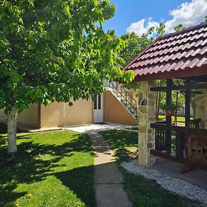 شقة Calm Nest Nikšić Exterior photo