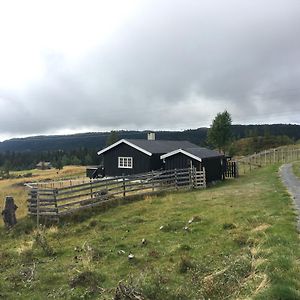Svingvoll Einkjerrbu Cabin By Norgesbooking - Exterior photo