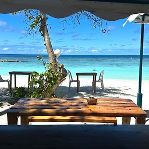فوليدهو Bougainvillea Inn - Maldives Exterior photo