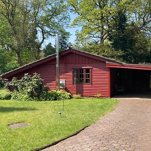 فيلا Ferienhaus Kleines Meisenhaus Wing100 Im Naturpark وينغست Exterior photo