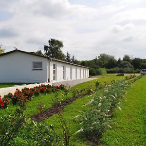 مبيت وإفطار Rødding Koebenhovedskov Bed & Breakfast Exterior photo