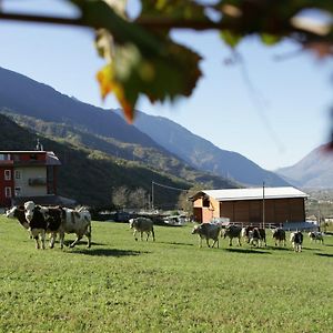 منزل الضيف Albosaggia  في Agriturismo Stella Orobica Exterior photo