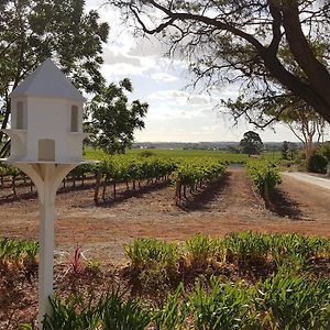 Light Pass 'In The Vines' Guest Cottage, Barossa Valley Exterior photo